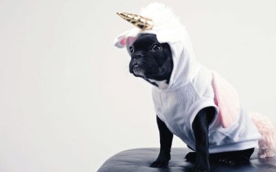 10 Unique Promotional Items Guaranteed To Get Noticed