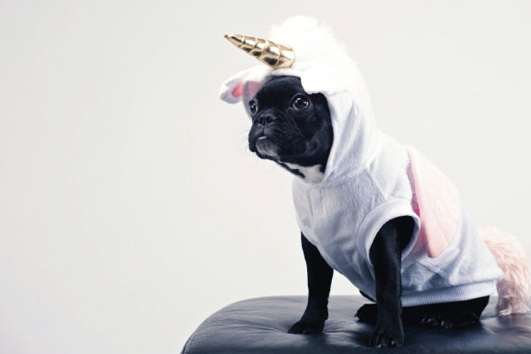 10 Unique Promotional Items Guaranteed To Get Noticed