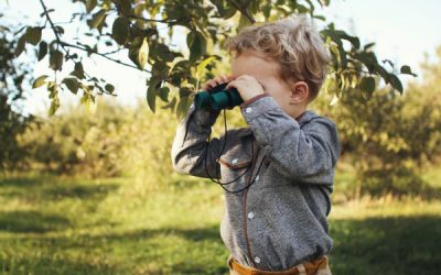 How Curiosity Can Make A Good Promotional Product Great