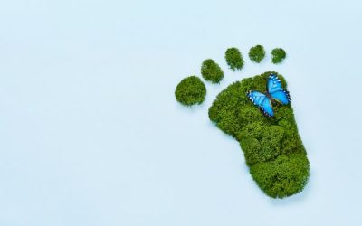 Why Promotional Products Are Secretly the Eco-Warriors of Advertising