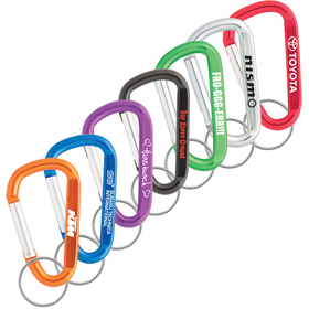 Express 80mm Carabiners