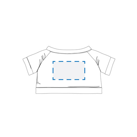 Colourflex Transfer Print Decoration Area