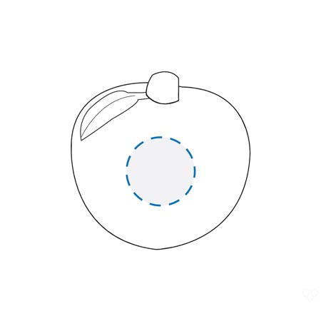 Digital Transfer Decoration Area