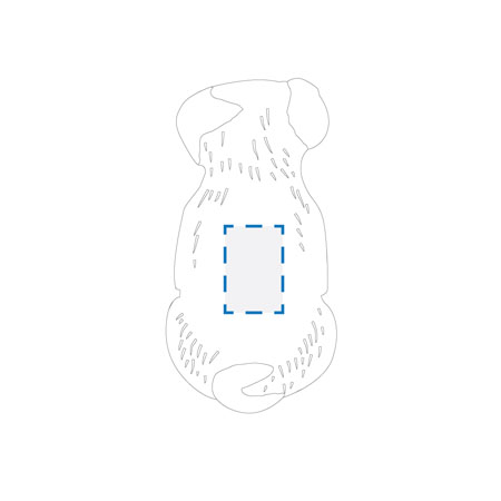 Pad Print Decoration Area