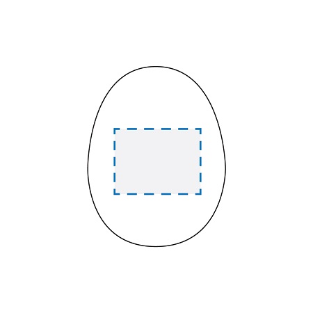 Pad Print/Digital Transfer Decoration Area