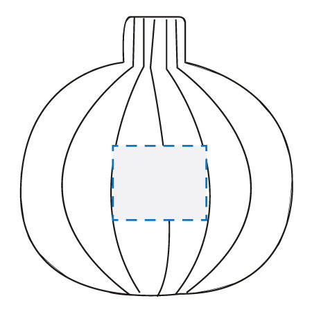 MaxiColour Print Decoration Area