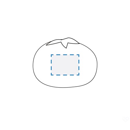 Pad Print Decoration Area