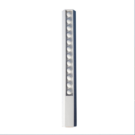 30cm Popper Ruler