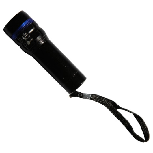 Bellevue Torches