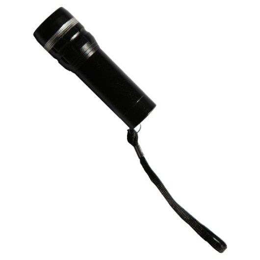 Bellevue Torches