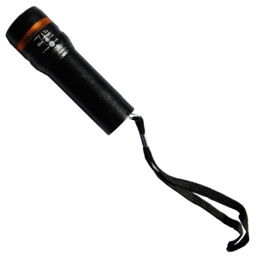 Bellevue Torches