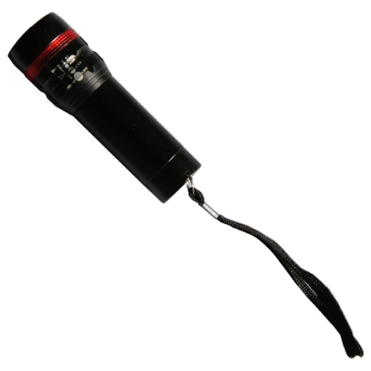 Bellevue Torches