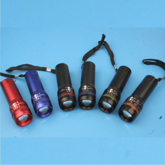 Bellevue Torches