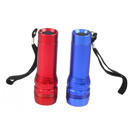 Bellevue Torches