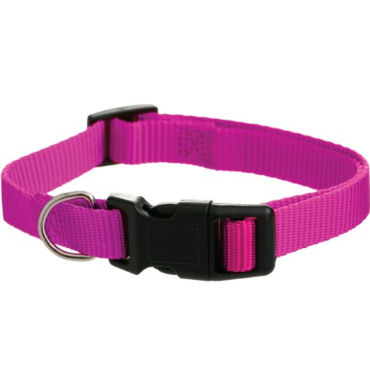 DogCollars20mm