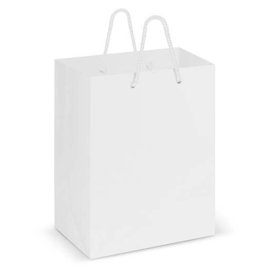 Medium Laminated Carry Bags