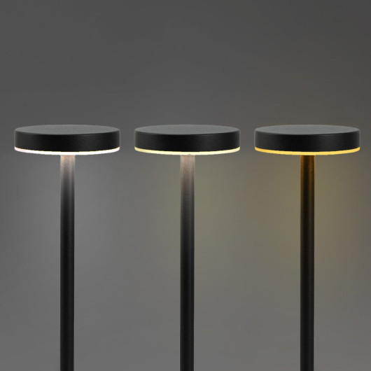 Nouveau Rechargeable Table Lamp Detail