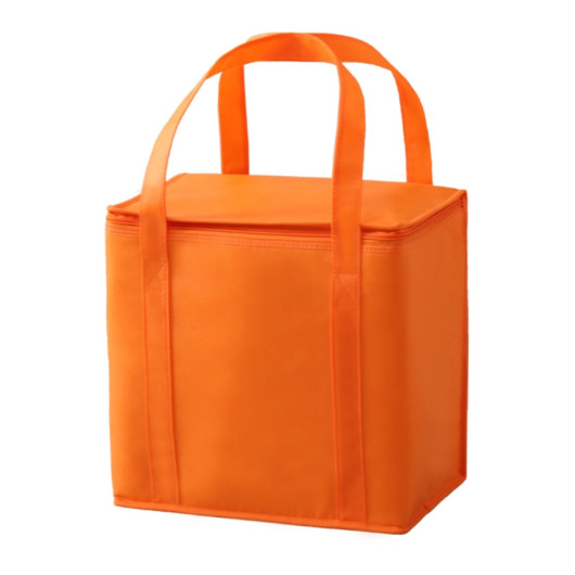 Havanah non woven cooler bag
