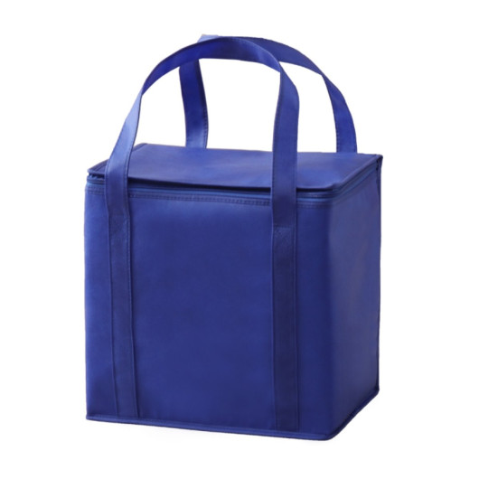 Havanah non woven cooler bag