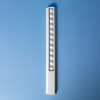 30cm Popper Ruler