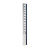 30cm Popper Ruler