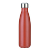 Double Wall Thermal Bottles