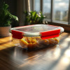 SPICE Glass Lunch Boxes Feature