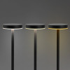 Nouveau Rechargeable Table Lamp Detail