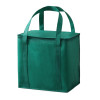 Havanah non woven cooler bag