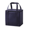Havanah non woven cooler bag