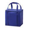 Havanah non woven cooler bag