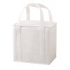 Havanah non woven cooler bag