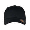 Trekk Alliance Organic Cotton Twill Cap SKU - Alternate